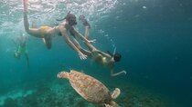 Private 3 Gili Trip