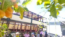 Private tour : Stellenbosch and Franschoek Wine Tram experience