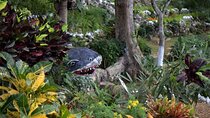 Ahhh Rasnatango Gallery and Garden