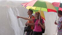 Guided Tour of the Falls Zim Side