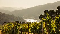Douro Valley Exclusive Green Wine Tour