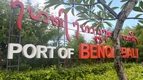 Ubud Private Tour From Cruise Port Benoa Bali All Inclusive