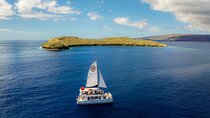 Four Winds Molokini Snorkeling Tour from Maalaea Harbor 