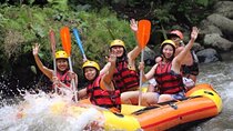 Private Day Trip Bali Rafting, Monkey Forest and Waterfall