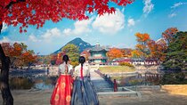 Customized Private Tour from Seoul