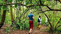 Jozani Forest & Rock Restaurant Experience with Transfer–Zanzibar
