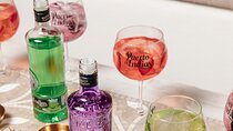 Guided Tour in Spanish with Tasting of 5 GINs and a Gin & Tonic