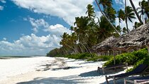 Nakupenda Island Snorkeling trip With Lunch W/Transfer -Zanzibar