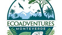 Natural History Walk in the Cloud Forest in Monteverde