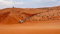Discover Wahiba Sands and Turtle Watching Tour
