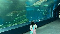 Tokyo Private Tour with a Kid~Friendly Guide