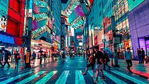 Customizable Private Tokyo Tour with English Speaking Driver