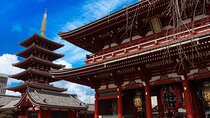 Tokyo Morning Highlights: Shibuya, Asakusa, Meiji Shrine & More!
