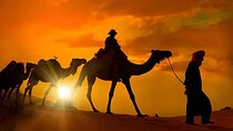 Camel ride Marrakech