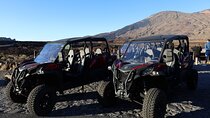 Puerto de la Cruz: Family Buggy Teide Nacional Park