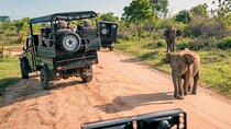 Explore the best Big 5 Aquila Safari Tour and Wine Tasting