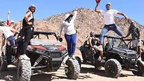 Super Safari Quad Car Buggy Camel Bedouin Dinner Show in Hurghada