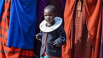 Maasai Village, Materuni Waterfall & Coffee Experience with lunch