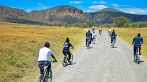 Guided Day Tour Safari of Parks Lake Naivasha and Hells Gate