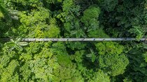Combo Mistico Hanging Bridges and La Fortuna Waterfall