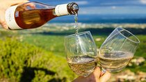 Private Wine Tasting Tour in Chablis Burgundy from Paris