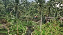 Ubud Central Bali Private Group Tour