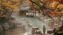 Mount Fuji Oshino Hakkai and Hot Spring Day Tour