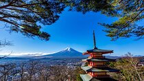 Mount Fuji Arakurayama Park and Instagram Hotspots