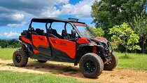 Istra Buggy Family Safari