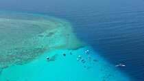 Prison Island Excursion Half-Day Tour with Transfer - Zanzibar