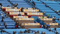 Tokyo Baseball Experience Tour with Expert English-Speaking Guide