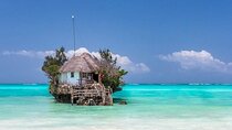 Jozani Forest & Rock Restaurant Adventure with Transfers-Zanzibar