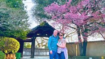 Tokyo: Old Town History Walking Tour(Nezu&Yanaka)