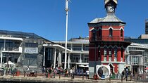 Robben Island Half Day Tour with Pre-Booked Ticket from Cape Town
