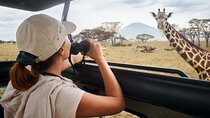 7 Days To Witness The Great Migration