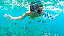 Snorkeling Semi-Submarine Trip, Island, Lunch & transfer Hurghada