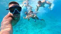 Blue Cave, Hvar, Vis and Blue Lagoon full day trip from Split