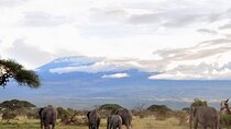 Private Tour in Nairobi Desert