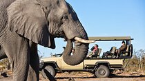 Inverdoorn Private Game Reserve Cape Town Tour