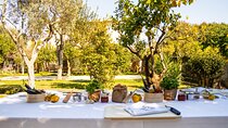 Cooking School and Lunch in the Garden at the Center of Sorrento
