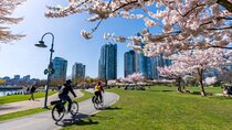 4 Hour E-bike Rental From Convenient Location on Seawall 