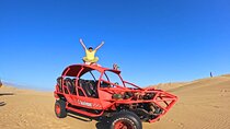 Visit Paracas Islas Ballestas Ica Huacachina 1 day trip