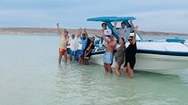 Speed Boat 4 Hours Swim Dolphins, Hula Hula , Snorkeling 