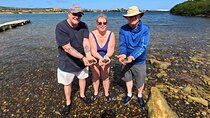Private Sea Glass Island Kayak Morning + Transfer