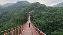 DMZ Private tour & Suspension Bridge with admission