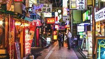 Tokyo: neon lights Shinjuku and Shibuya