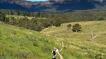 Blue Mountains Private Hike Tour -Winery drinks 