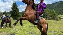 3 Days Tour to Old Capital and horse ride day tour to Semi Gobi