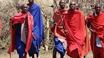 Amboseli day Escape: Private Tour