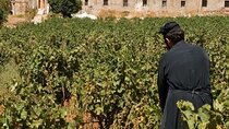  Wine & Olive Oil tasting one day private tour in Crete